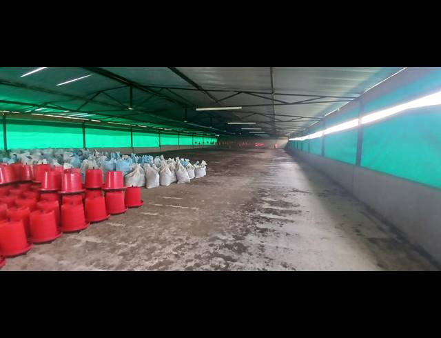 12,500M² FARM TO LET IN NELSONIA